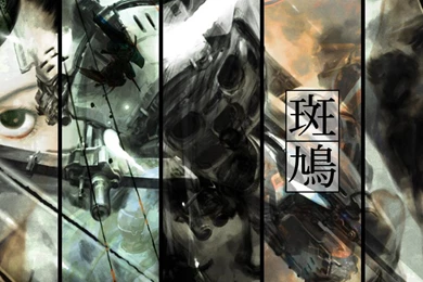 Ikaruga Computer Wallpapers, Desktop Backgrounds