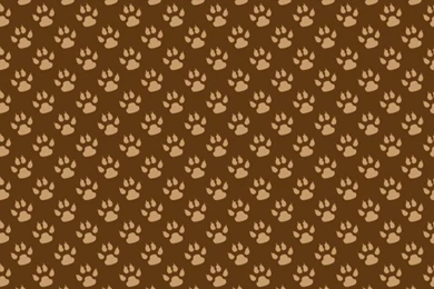 Dog Paw Wallpapers   Wallpapers Zone