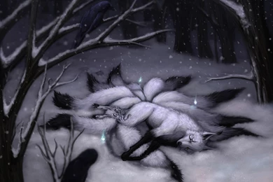 Kitsune 2880x1800   Wallpapers   Wallpapers Style