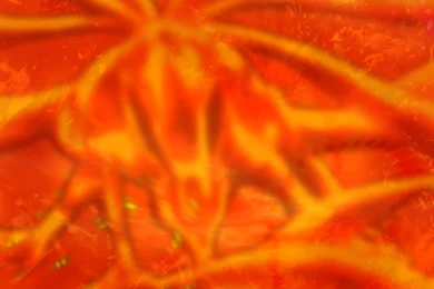 Great Kitsune Wallpapers By Yarite On DeviantArt