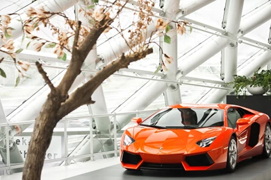 Lamborghini Aventador LP700 4 2013 Wallpapers
