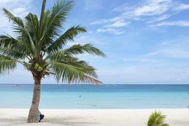 Backgrounds Pictures Of Beaches   Wallpapers Zone