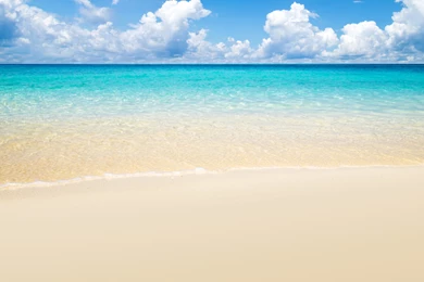 Summer_Beach_Background.jpg?m=1432232951