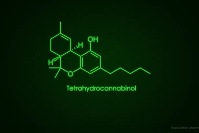 Fonds D'écran Cannabis : Tous Les Wallpapers Cannabis