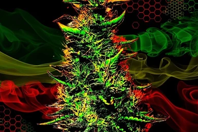 Cannabis Wallpapers