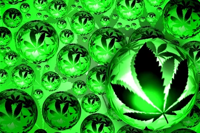 Marihuana And Weed Wallpapers   Android Apps And Tests   AndroidPIT