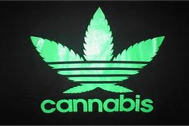 Adidas Cannabis HD Weed Wallpapers
