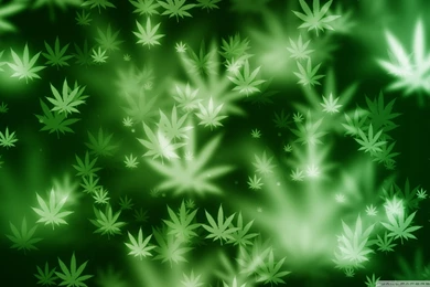 Weed Wallpapers HD   Wallpapers Zone