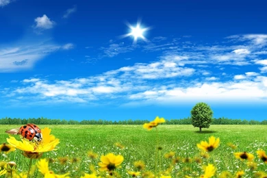 Beautiful Nature Spring Scenes Wallpapers HD