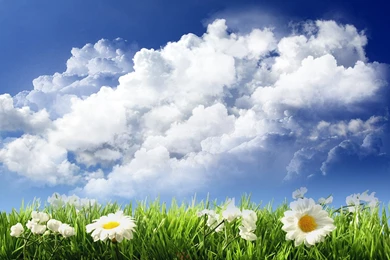 Beautiful Nature Backgrounds Wallpapers