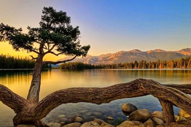 Beautiful Nature Backgrounds