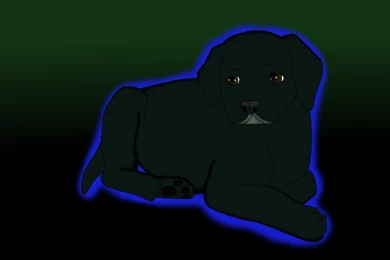 Request__black_lab_puppy_by_nightwish12 d45wwd9.png