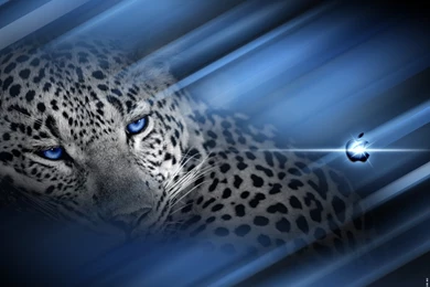 Mac OS X Leopard Apple By Thetzar On DeviantArt