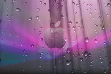 Mac Os X Snow Leopard Wallpapers 13307