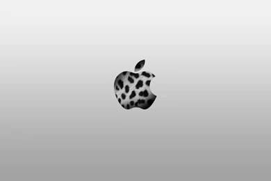 Wallpapers Favourites By Rayphi On DeviantArt