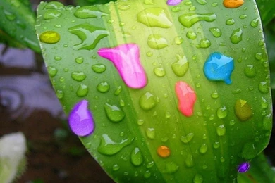 Hd Wallpapers For Android Xda