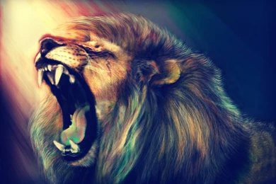 25+ Lion Wallpapers, Backgrounds, Images, Pictures