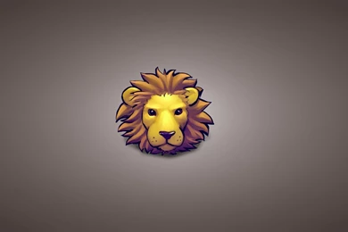 Lion Head HD Wallpapers