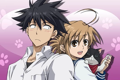 Nyan Koi! Computer Wallpapers, Desktop Backgrounds