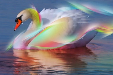 Beautiful Wallpapers Free Download Collection (41+)