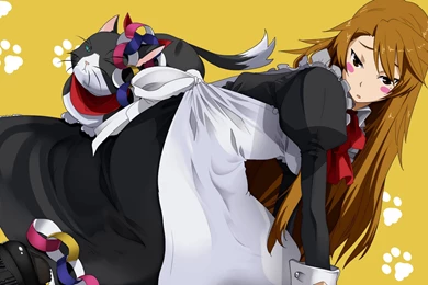 Download Wallpapers 3840x2160 Nyan Koi, Cleaning Woman, Girl, Cat ...