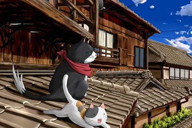 Nyan Koi! Cats On The Roof Top HD Desktop Wallpapers : Widescreen ...