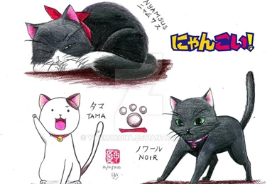 Nyan Koi Girl Uniforms By PsychoAnime97 On DeviantArt