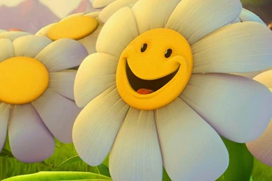 Summer Flower Wallpapers   Wallpapers High Definition