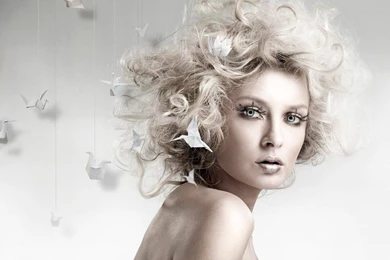 Blonde Models Wallpapers   (