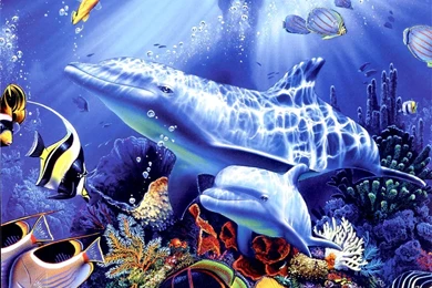 Dolphin Animated Wallpapers