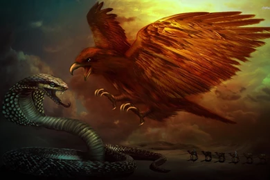 Desktop King Cobra Snake Photos Wallpapers