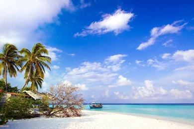 Computer Wallpapers HD Download   Wallpapers Zone