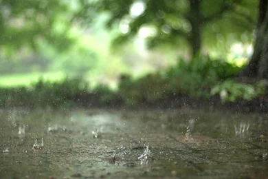 Raindrops Live Wallpapers   Android Apps On Google Play