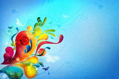 Butterfly Colors   Splendid Wallpapers HD