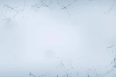 Animus Wallpapers   Wallpapers Cave