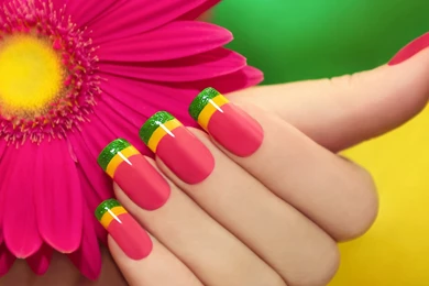 Download Wallpapers 1920x1080 Gerbera, Pink, Flower, Manicure ...