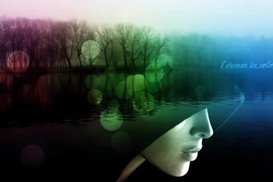 Dream In Color Enjoy Wallpapers   (