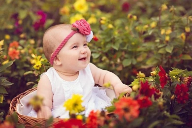 Cute Baby Rose Garden Free Desktop Backgrounds And Wallpapers