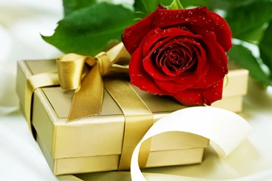 1440x900 Surprise Package With Red Rose Wallpapers