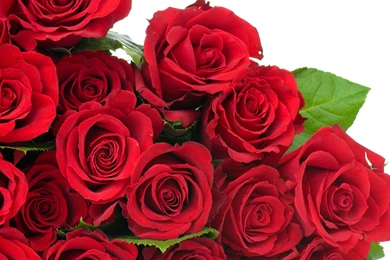 Bookey Flower Images And Wallpapers Download