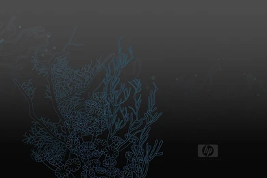 Download Hp Mysterious Wallpapers 1280x800