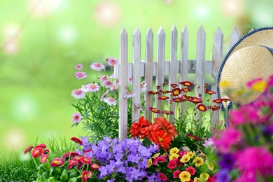 Flower Garden Backgrounds Wallpapers SK0