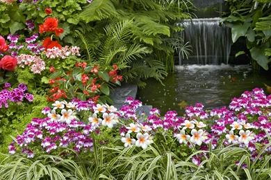 Gardens Wallpaper: Pink Flower Garden Wallpapers HD Free 374343 ...