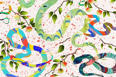 The Desktop Wallpapers Project