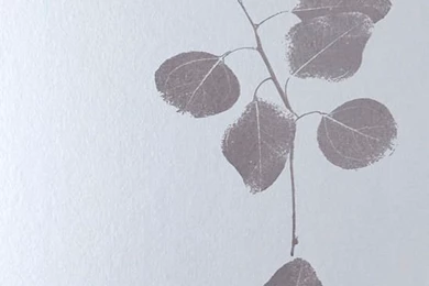 Floral Wallpapers / Paper / Traditional   LEAF METALLIC   Jocelyn ...