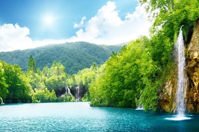 Nature Backgrounds, Mother Nature, Windows, Flower Images ...