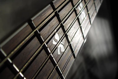 Photography Guitar Music.jpg