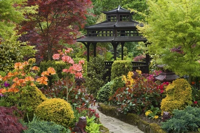 Zen Garden Wallpaper Backgrounds 4202 2560x1440   UMad.com