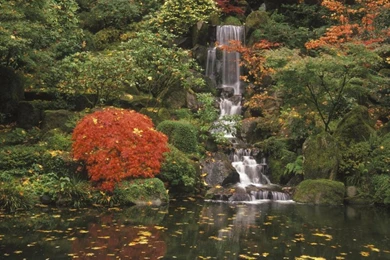 The 25 Inspiring Japanese Zen Gardens