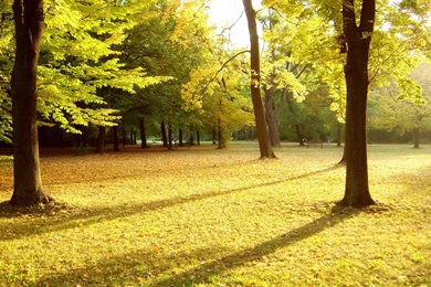 Park Wallpapers New 2016 . Best High Resolution Desktop Android ...